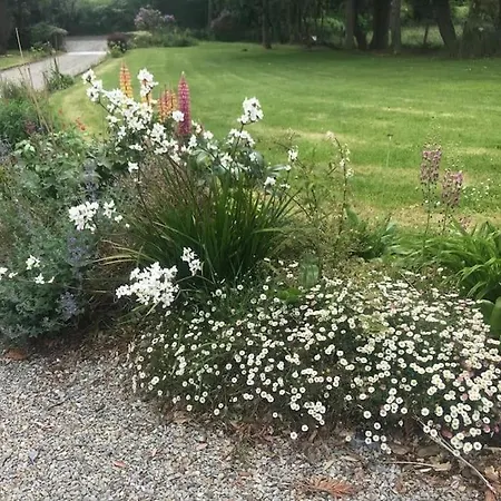 Ferienhaus Four Winds, Ross, Killala. Killala